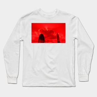 San Mateo, California Seal Point Park Sculpture. 2010 Long Sleeve T-Shirt